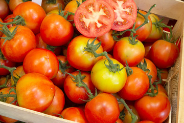red tomatoes background. Group of tomatoes