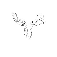 Vector image of an Deer Moose black and white. design style. animal. art. symbol. logo. Illustrator. on white background. Mammals