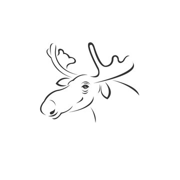 Vector image of an Deer Moose black and white. design style. animal. art. symbol. logo. Illustrator. on white background. Mammals