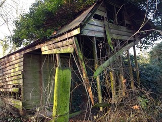 Landscape of derelict disused abandoned shed hut wooden building in natural   forest rural...