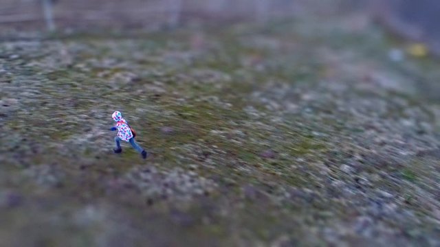 Microscopic child looking like a tiny insect. Drone footage with tilt-shift lens effect.