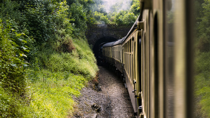 restored Steam locomotive train enters tunnel in picturesque green nature surround