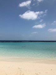 tropical beach scene