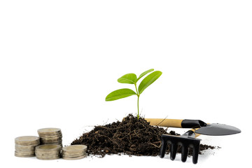 Investment with good returns concept