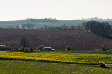 Fototapeta premium Rural life during a sunny spring with arable fields prepared for sowing the grain. Thuringia, Germany.