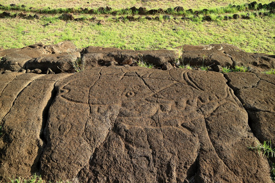 Papa Mango Ancient Petroglyphs of Tuna and Shark at Papa Vaka Archaeological Site on Easter Island, Chile, South America