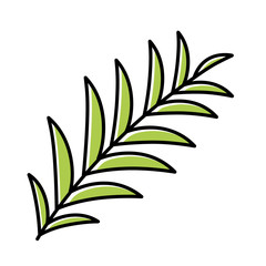 Palm branch green color icon