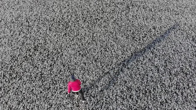 Girl ice skating roll on a frozen huge pond. View from above. Snc with a quadcopter