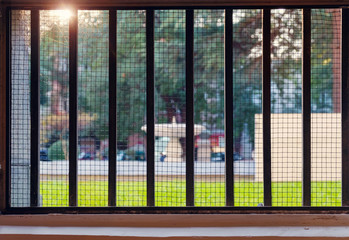 View of the park through the gridded window