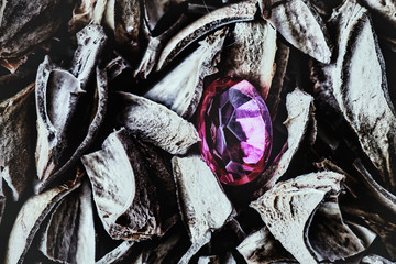 Red stone on the shell