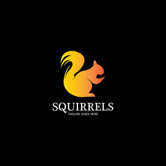 creative squirrel animal logo design icon symbol illustration-vector