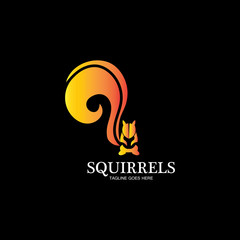 creative squirrel animal logo design icon symbol illustration-vector