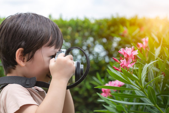 Little asian boy taking photo of flowers in Autumn season. Handsome young boy love nature and enjoying life when lovely child gets holiday with happiness, smiley face. Photography is hobby of child