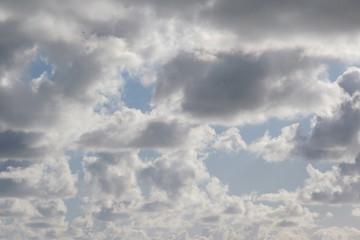 Obraz premium Watch the clouds. They will teach you about the world of form.