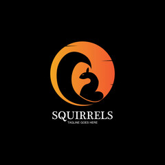 creative squirrel animal logo design icon symbol illustration-vector