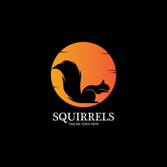 creative squirrel animal logo design icon symbol illustration-vector