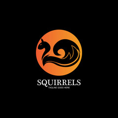 creative squirrel animal logo design icon symbol illustration-vector