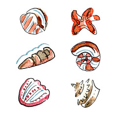 Sea stars and shells clipart 02