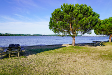 Fototapeta na wymiar wood bench and table in coast lake at Maubuisson Carcans city in southwest France