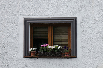 Fototapeta na wymiar Old town center new house window with flowers