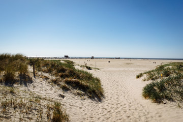 sand dunes on the beach