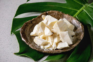 Chopped pieces of raw organic cocoa butter in craft ceramic plate on green exotic monstera leaf...