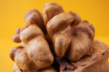 Walnut closeup on a yellow background. Macro photo in warm colors. The concept of wholesome organic food. Copyspace, minimalism.