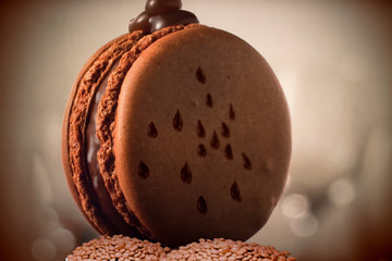 Tasty French macaron chocolate biscuit  