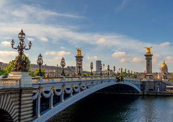 Fototapeta na wymiar Alexandre III Bridge in Paris in Sunny Weather