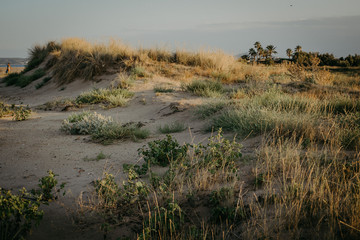Dunes