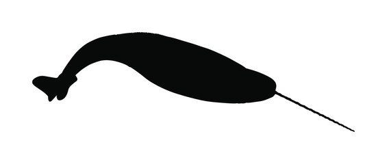 Narwhal vector silhouette illustration isolated on white background. Unicorn whale. © dovla982