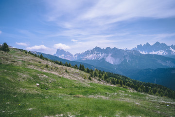 Fototapeta na wymiar Bergwiese vor Alpen 