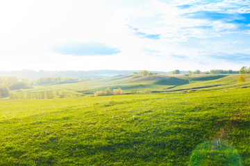 Green Field and Beautiful Sunset. field of spring grass and forest