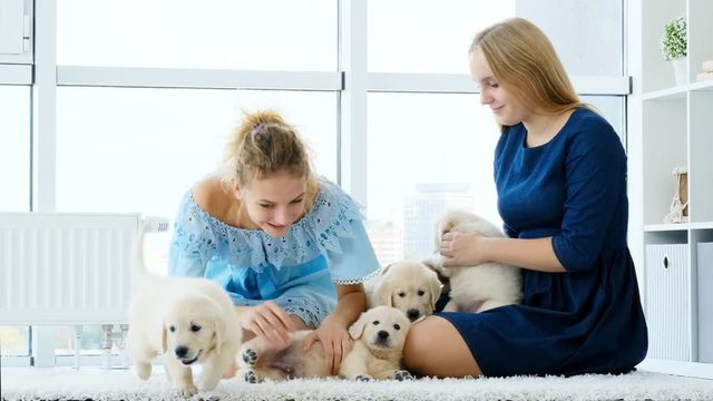 Young sisters playing with lovely puppies at home