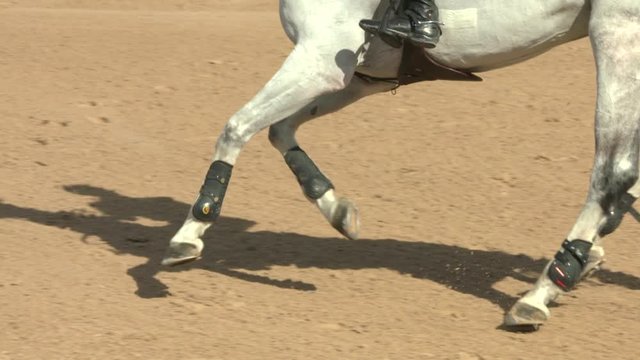 White horse galloping through an equestrian show jumping course in slow motion.