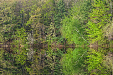 Obraz premium Spring landscape of the shoreline of Hall Lake with mirrored reflections in calm water, Yankee Springs State Park, Michigan, USA
