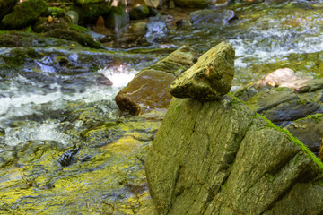 Rock on the rock near stream in the forest