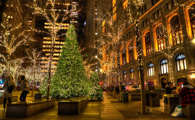 Illuminated square in New York City. Christmas trees. Skycrapers.