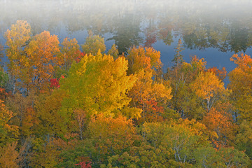Autumn forest in fog and pond with reflections of trees in calm water from the Brockway Mountain Drive, Michigan's Upper Peninsula, USA