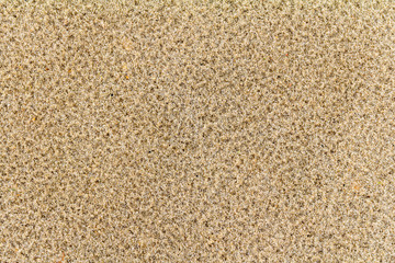 sand closeup
