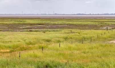Spiekeroog in East Frisia