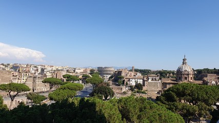 Fototapeta na wymiar Flora and the eternal city. Rome, Italy