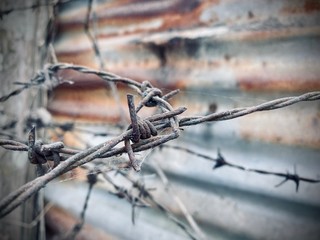 Old barbed wire on the fence