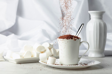 Hot chocolate with marshmallows sprinkled with chocolate crumbs.