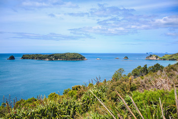 Fototapeta premium beautiful scenery on the way to Cathedral Cove on Coromandel Peninsula, North Island, New Zealand