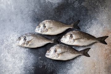 Fresh uncooked Dorado or sea bream fish