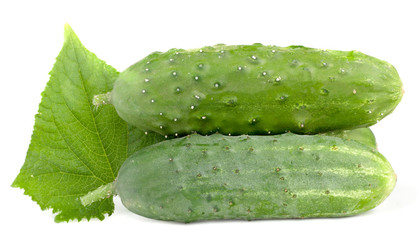 Fresh сucumbers with green leaf isolated on white.