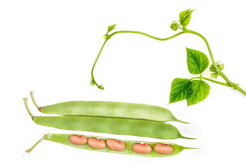 Beans isolated on white background, top view