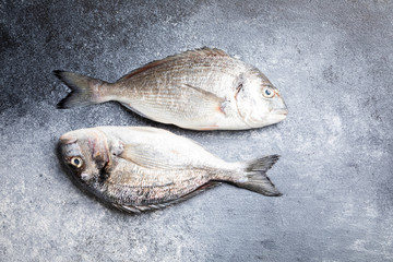 Fresh uncooked Dorado or sea bream fish