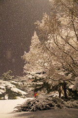 It's a rare snow in Beijing. Even though it is night, people play snow happily.
